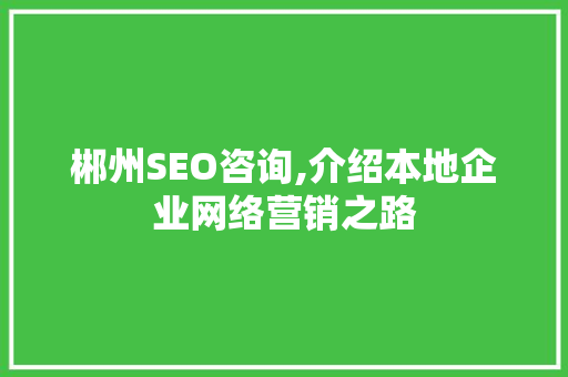 郴州SEO咨询,介绍本地企业网络营销之路 网站建设
