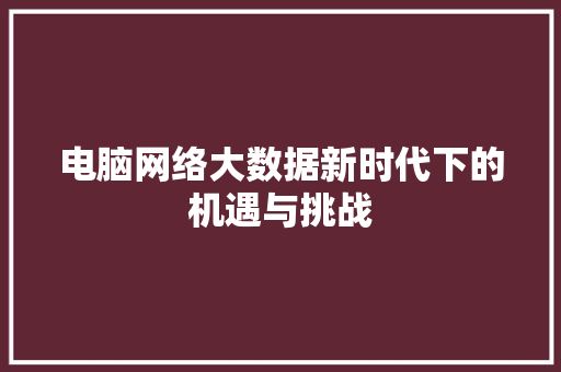 电脑网络大数据新时代下的机遇与挑战