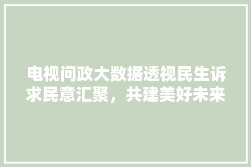 电视问政大数据透视民生诉求民意汇聚，共建美好未来