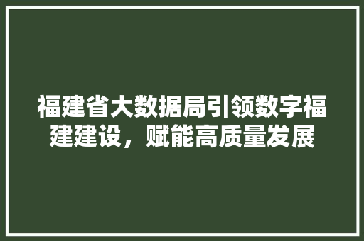 福建省大数据局引领数字福建建设，赋能高质量发展
