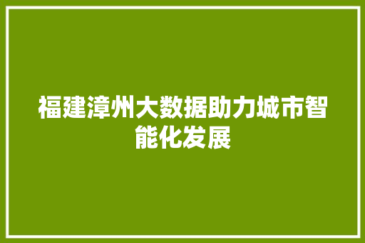 福建漳州大数据助力城市智能化发展