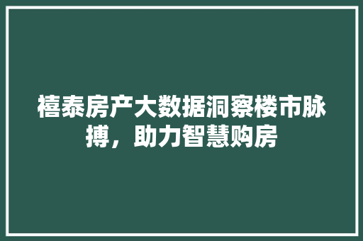 禧泰房产大数据洞察楼市脉搏，助力智慧购房
