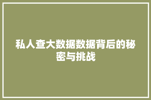 私人查大数据数据背后的秘密与挑战