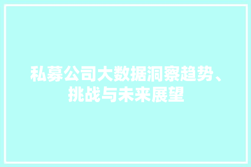 私募公司大数据洞察趋势、挑战与未来展望