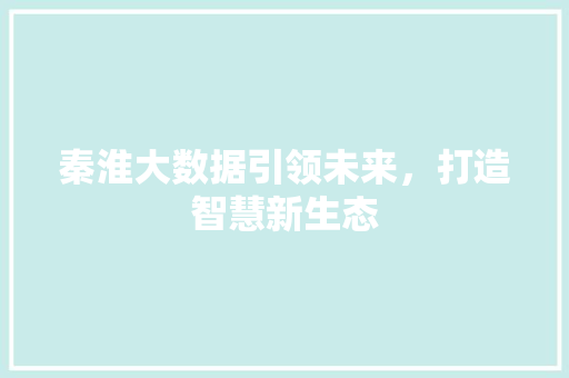 秦淮大数据引领未来，打造智慧新生态