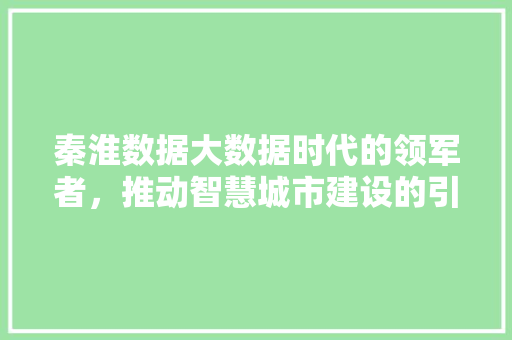 秦淮数据大数据时代的领军者，推动智慧城市建设的引擎