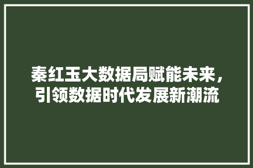 秦红玉大数据局赋能未来，引领数据时代发展新潮流