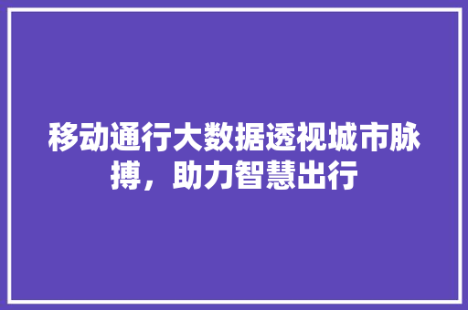 移动通行大数据透视城市脉搏，助力智慧出行