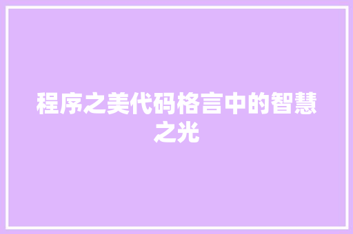 程序之美代码格言中的智慧之光