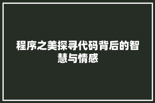 程序之美探寻代码背后的智慧与情感