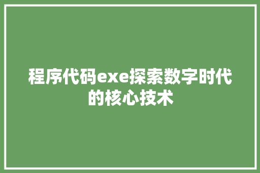 程序代码exe探索数字时代的核心技术