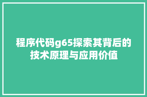 程序代码g65探索其背后的技术原理与应用价值