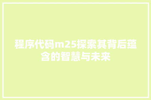 程序代码m25探索其背后蕴含的智慧与未来