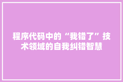 程序代码中的“我错了”技术领域的自我纠错智慧