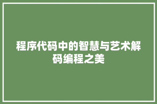 程序代码中的智慧与艺术解码编程之美
