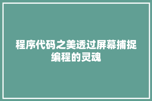 程序代码之美透过屏幕捕捉编程的灵魂