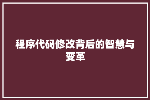 程序代码修改背后的智慧与变革