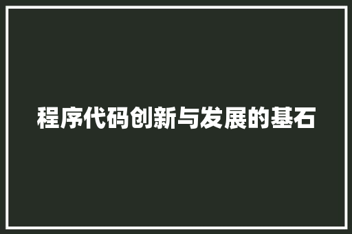 程序代码创新与发展的基石