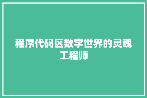 程序代码区数字世界的灵魂工程师