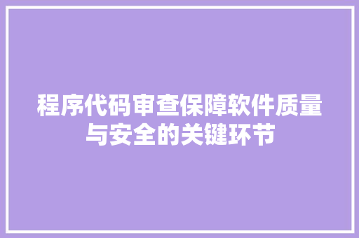 程序代码审查保障软件质量与安全的关键环节