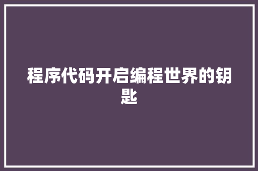程序代码开启编程世界的钥匙