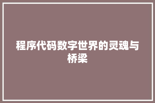 程序代码数字世界的灵魂与桥梁