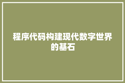 程序代码构建现代数字世界的基石