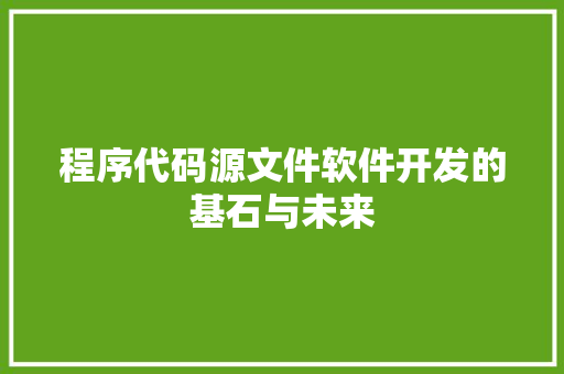 程序代码源文件软件开发的基石与未来