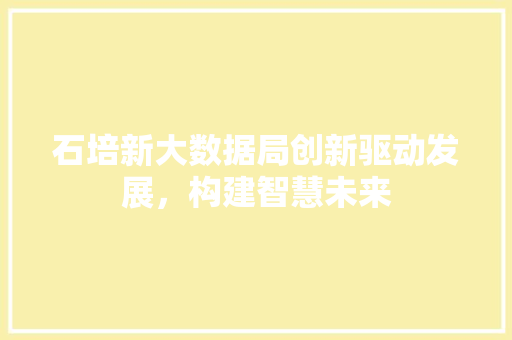石培新大数据局创新驱动发展，构建智慧未来