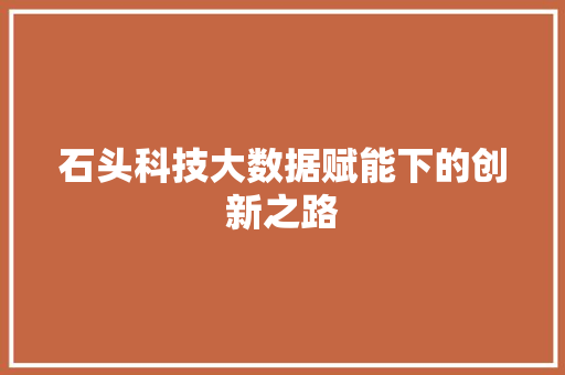 石头科技大数据赋能下的创新之路