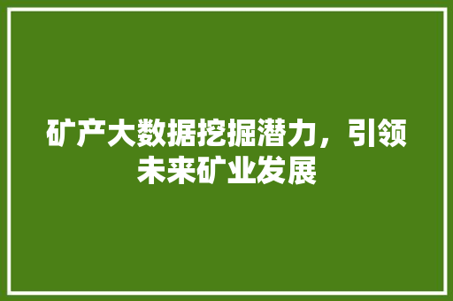 矿产大数据挖掘潜力，引领未来矿业发展