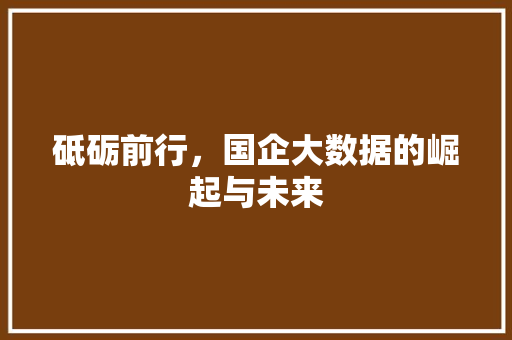 砥砺前行，国企大数据的崛起与未来