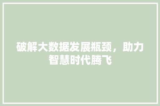 破解大数据发展瓶颈，助力智慧时代腾飞