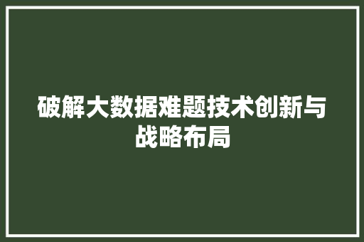 破解大数据难题技术创新与战略布局
