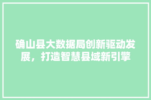确山县大数据局创新驱动发展，打造智慧县域新引擎