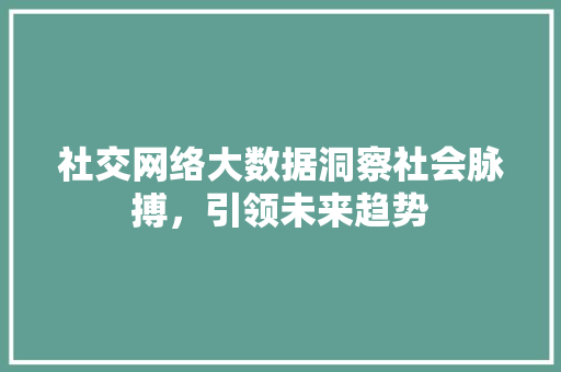 社交网络大数据洞察社会脉搏，引领未来趋势