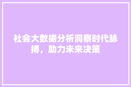 社会大数据分析洞察时代脉搏，助力未来决策