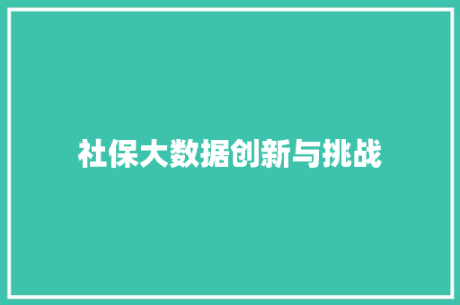 社保大数据创新与挑战