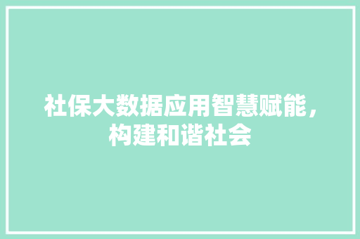 社保大数据应用智慧赋能，构建和谐社会