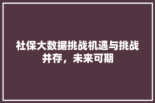 社保大数据挑战机遇与挑战并存，未来可期