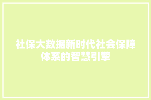 社保大数据新时代社会保障体系的智慧引擎