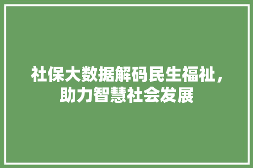 社保大数据解码民生福祉，助力智慧社会发展