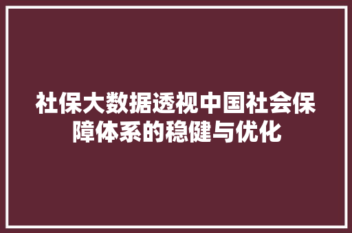 社保大数据透视中国社会保障体系的稳健与优化