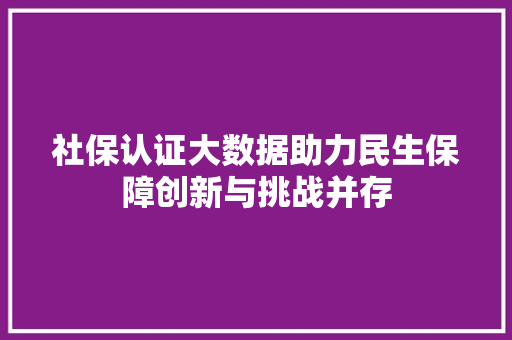 社保认证大数据助力民生保障创新与挑战并存