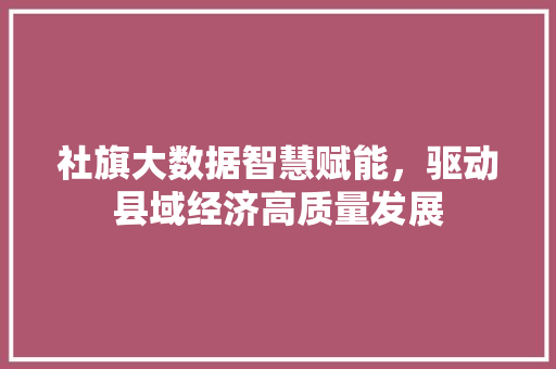 社旗大数据智慧赋能，驱动县域经济高质量发展