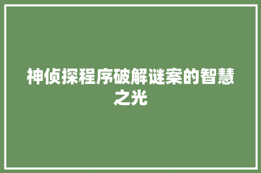 神侦探程序破解谜案的智慧之光