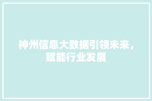 神州信息大数据引领未来，赋能行业发展