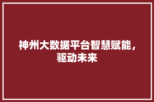 神州大数据平台智慧赋能，驱动未来