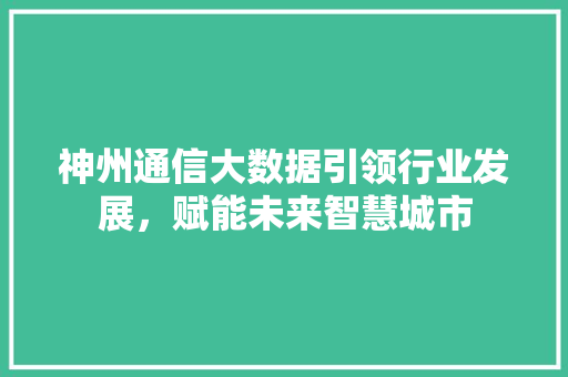 神州通信大数据引领行业发展，赋能未来智慧城市