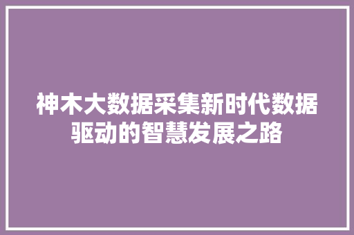 神木大数据采集新时代数据驱动的智慧发展之路